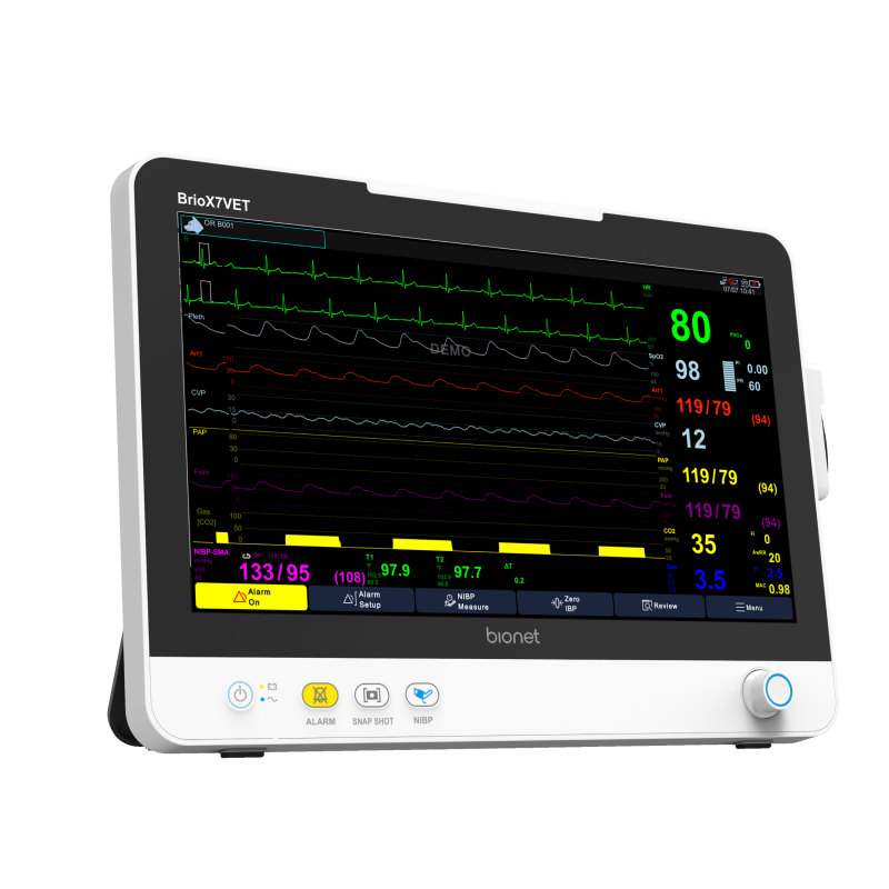 Brio X7VET veterinary patient monitor standalone unit, right three-quarter view showing 15.6-inch display with multi-parameter monitoring for animal patients