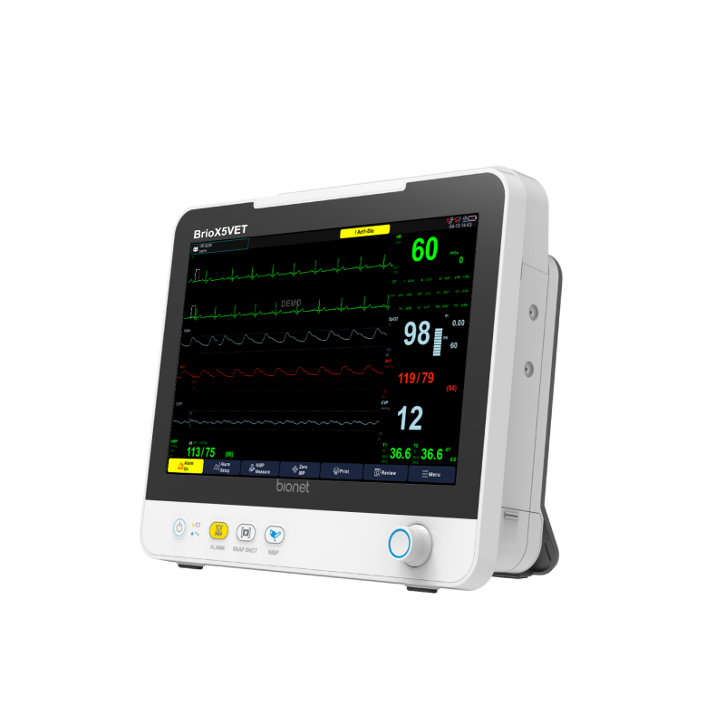 Brio X5VET veterinary patient monitor standalone unit, right three-quarter view showing 12.1-inch display and integrated stand