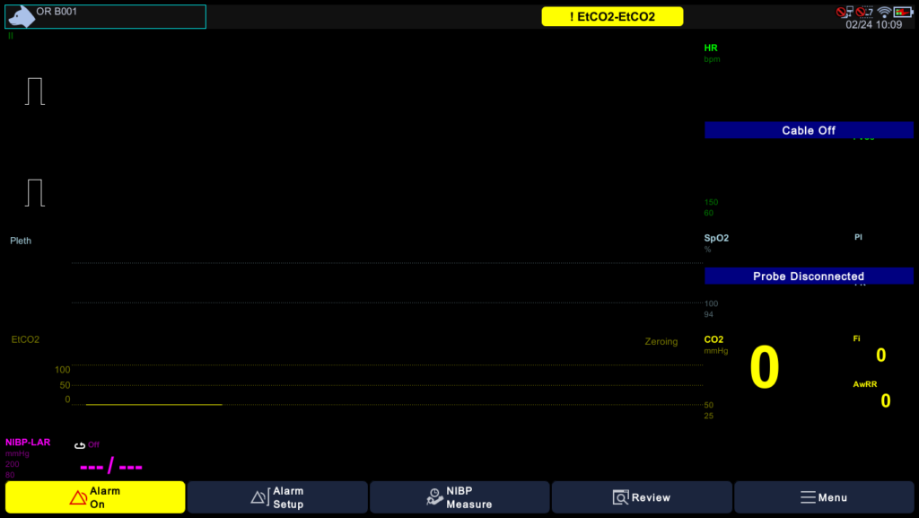 EtCO2 and Capnography Monitoring Screen Brio X5VET display showing EtCO2 and capnography monitoring screen with CO2 waveform, AwRR and Fi values for veterinary anesthesia