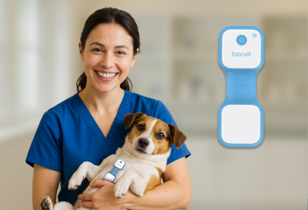 o-pet-curv-veterinary-wearable-sensor-clinical-use-veterinarian-and-pet Female veterinarian holding a small dog with O'Pet Curv wearable sensor attached, demonstrating wireless pet vital signs monitoring in a clinical setting