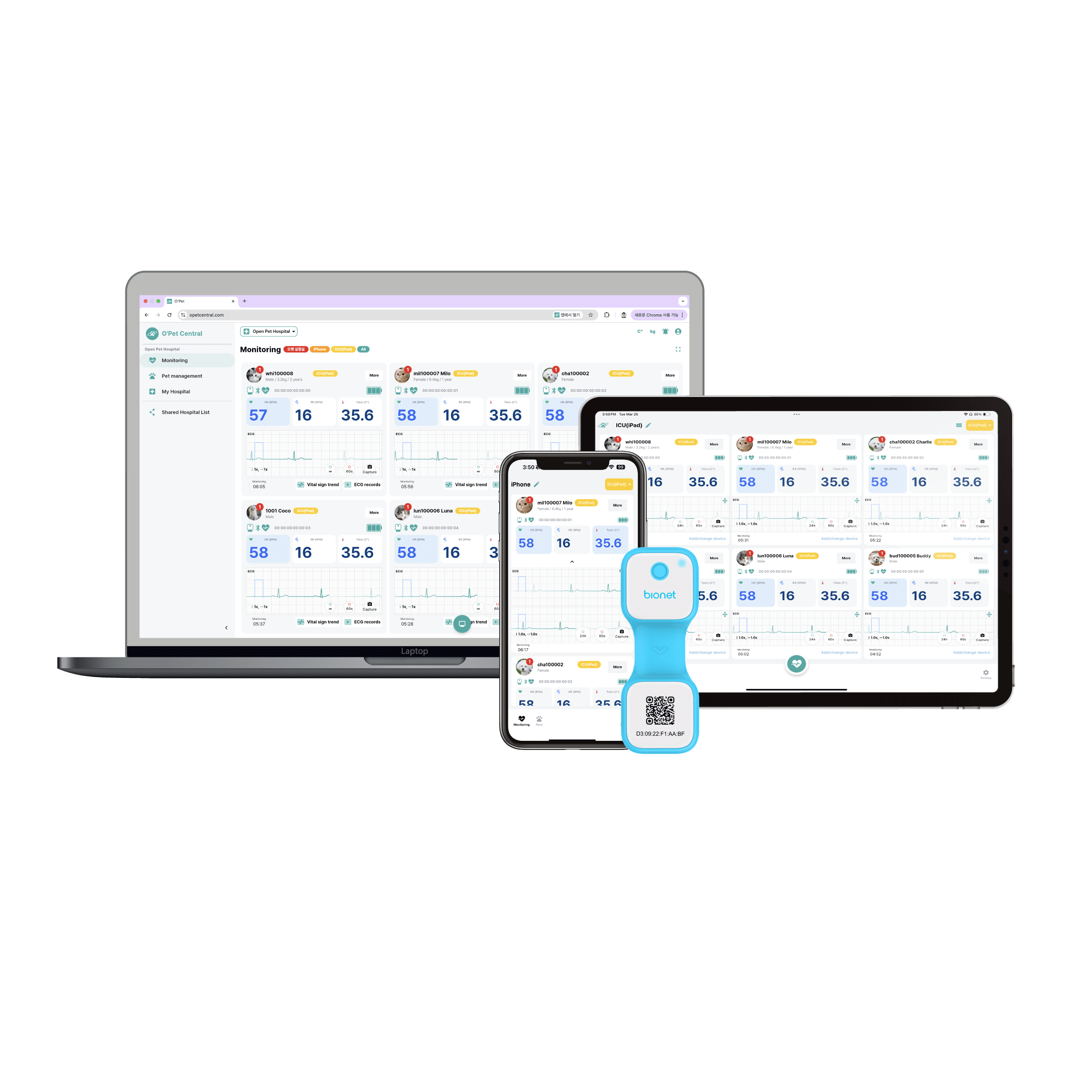 O'Pet Central Cloud Platform for Remote Veterinary Patient Monitoring O'Pet Central cloud-based veterinary monitoring platform displaying real-time pet vital signs across desktop, tablet and smartphone with the O'Pet Curv wearable monitoring device