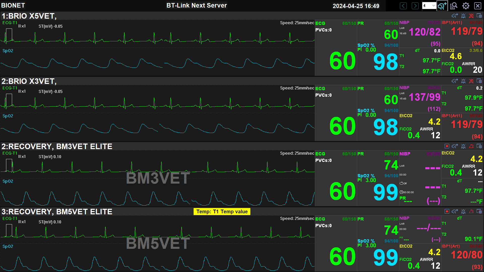 Veterinary Central Monitoring System | BT-Link Next Server for Multi-Patient Monitoring BT-Link Next Server veterinary central monitoring system displaying real-time ECG, SpO₂, NIBP, EtCO₂, and vital signs from multiple animal patient monitors for ICU, surgery, and recovery monitoring.